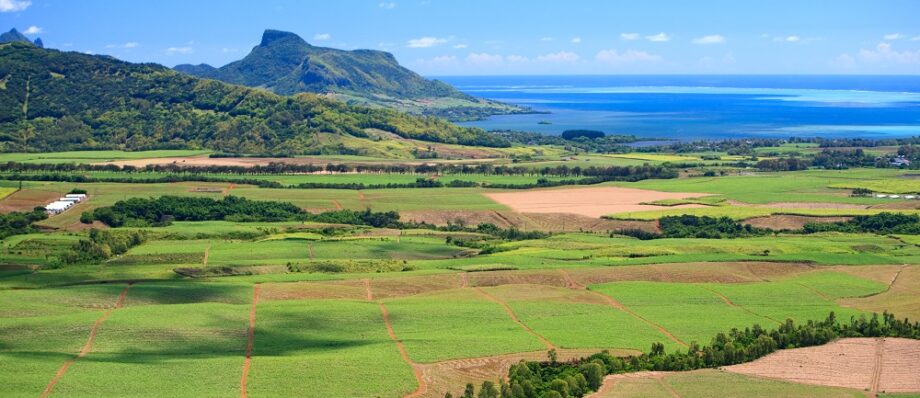 understanding-land-measurement-in-mauritius-fody-properties