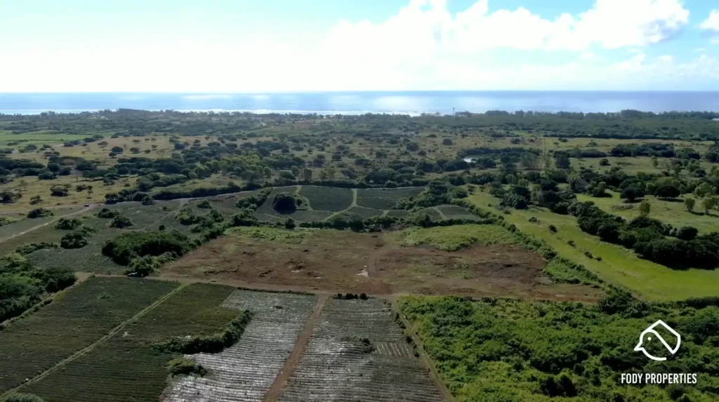 domaine de palmar